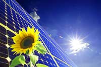 Sunflower and Solar Panels representing sustainability